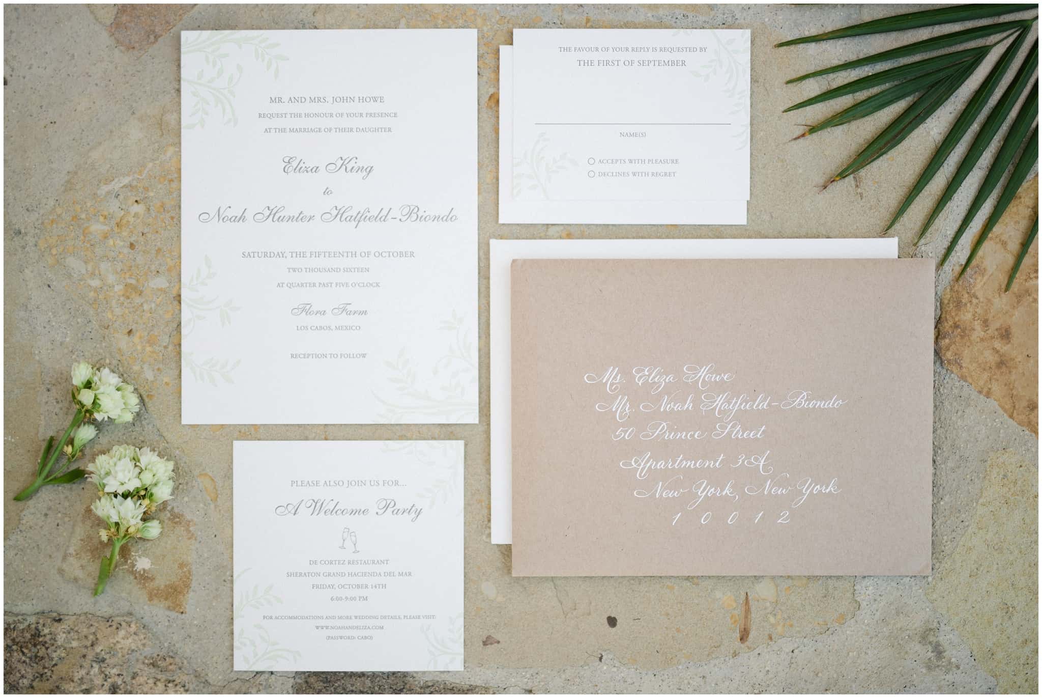 Cabo Photographer - Sara Richardson_3041